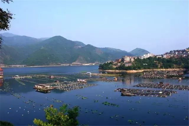 旮旯湯,旮旯湯怎么做啊