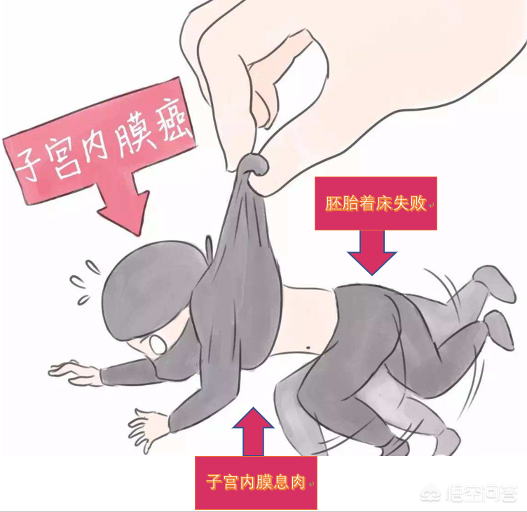 子宫内膜厚度多少正常，怎么调理？