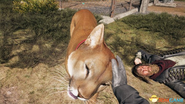 《孤岛惊魂5》评测7.4分：希望郡很美，但不够惊艳