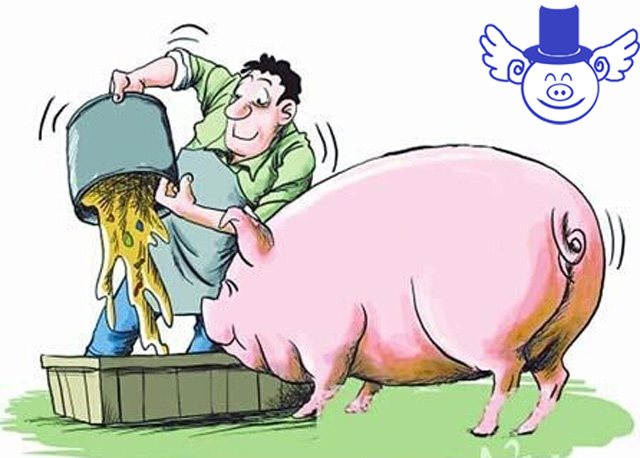 作為一個(gè)農(nóng)民如何拿到屬于自己的那份補(bǔ)貼？首先你得學(xué)會(huì)寫申請(qǐng)書
