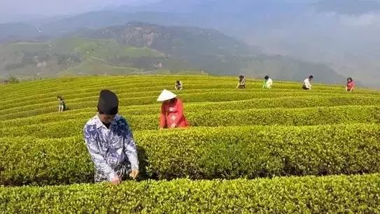 旮旯湯,旮旯湯怎么做啊