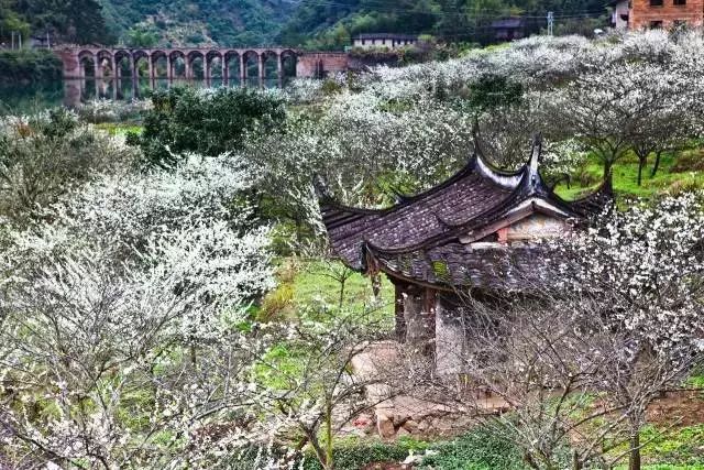 旮旯湯,旮旯湯怎么做啊