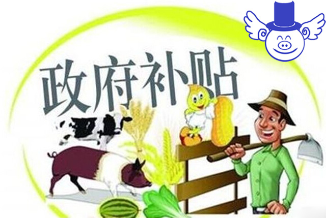 作為一個(gè)農(nóng)民如何拿到屬于自己的那份補(bǔ)貼？首先你得學(xué)會(huì)寫申請(qǐng)書