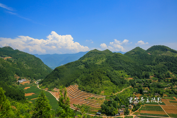 巫峡南岸野山谷，大山深处有人家