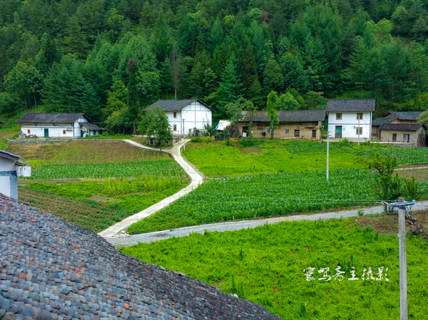 巫峡南岸野山谷，大山深处有人家