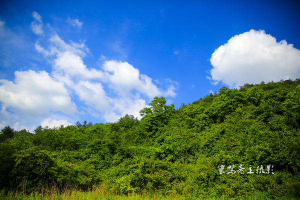 巫峡南岸野山谷，大山深处有人家