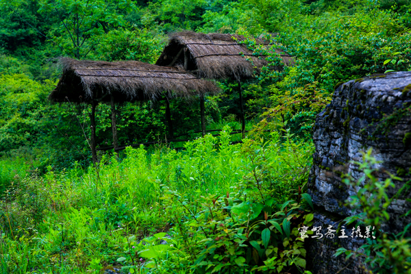 巫峡南岸野山谷，大山深处有人家