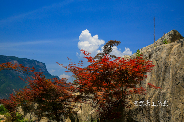 巫峡南岸野山谷，大山深处有人家