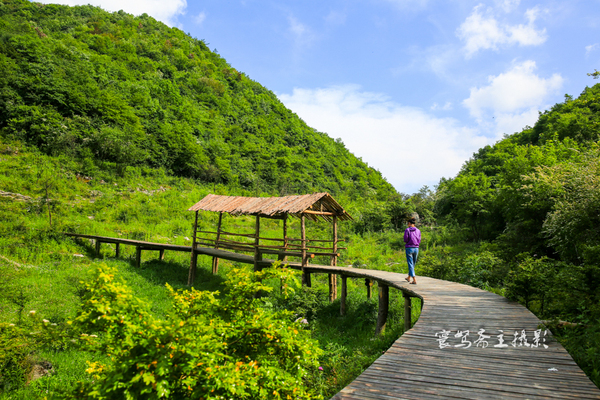 巫峡南岸野山谷，大山深处有人家