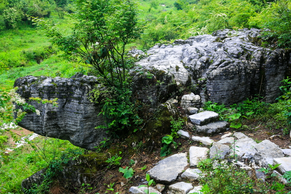 巫峡南岸野山谷，大山深处有人家