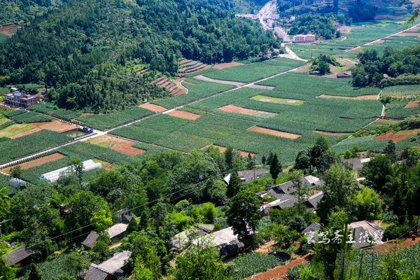 巫峡南岸野山谷，大山深处有人家