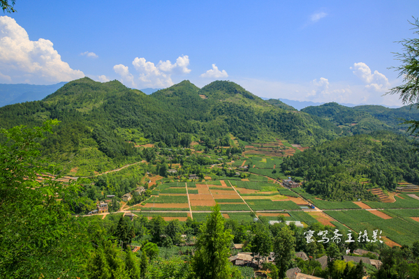 巫峡南岸野山谷，大山深处有人家