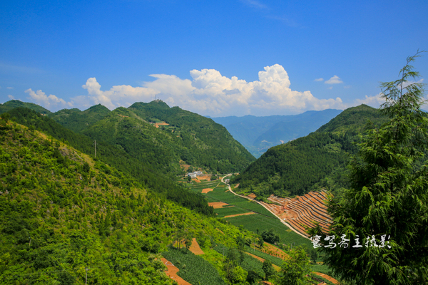 巫峡南岸野山谷，大山深处有人家