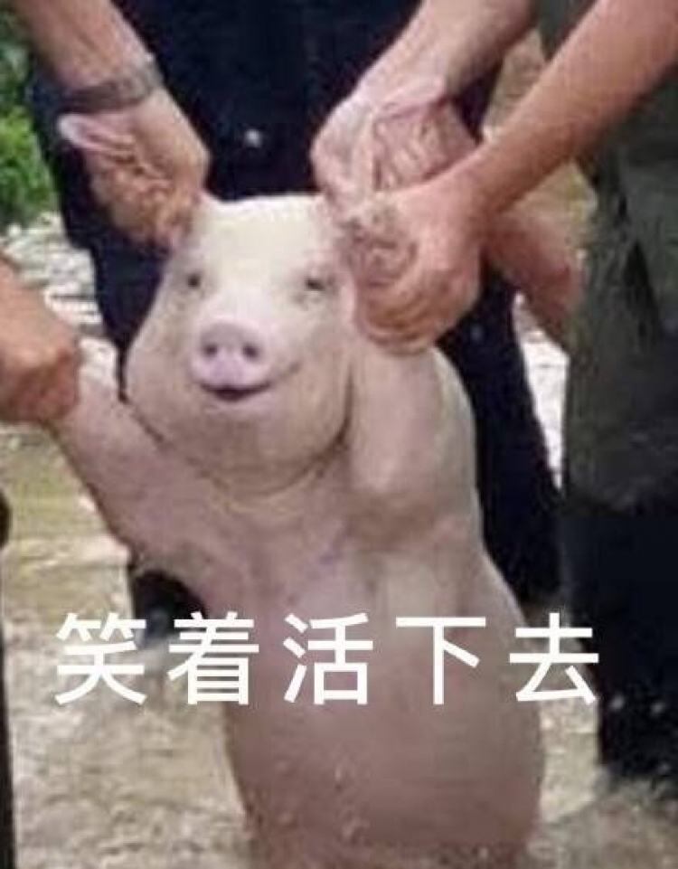 Emm……声称有100个爱马仕铂金包的美妆圈小哥哥，最后被扒出是盗图