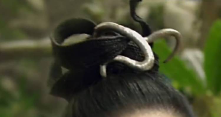 《醉玲珑》，一部讲述美发沙龙学院成长史的大型情景喜剧