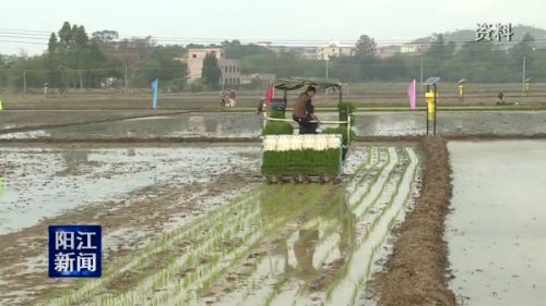 陽江市農(nóng)機(jī)購機(jī)補(bǔ)貼尚有500多萬元可申請