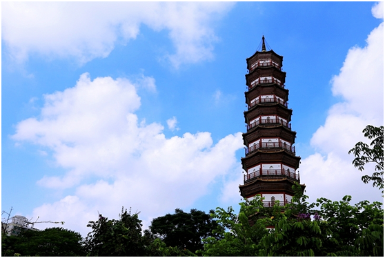 我叫海珠，这是我的最新名片——广州南岸有大洲，江水四环
