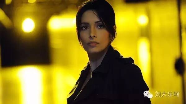 嫌疑犯的追踪：我带着认真的表情来解决案件，你却让我的狗哭了。