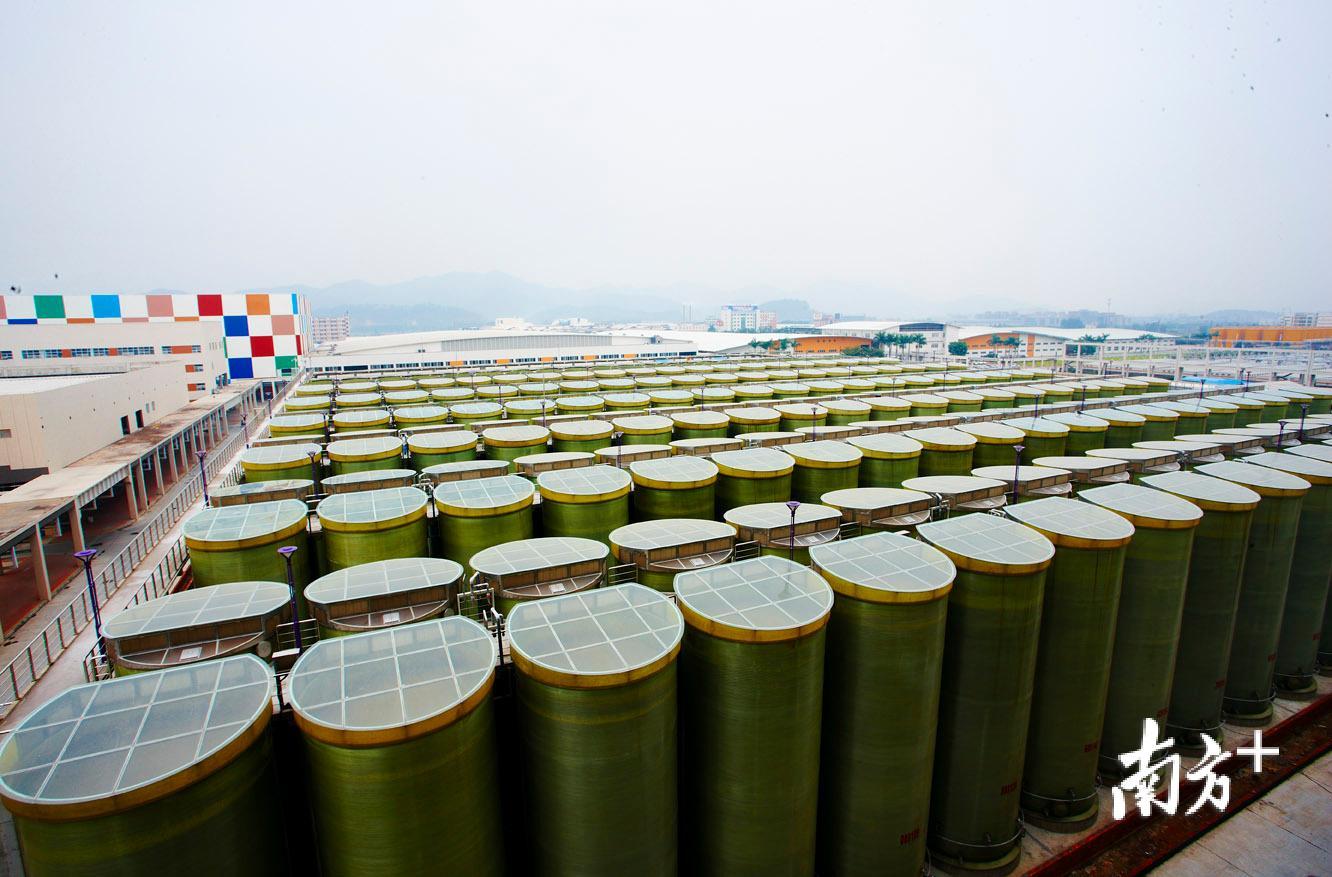 周其仁佛山80分鐘演講：把電飯煲賣去日本不能只靠雄心壯志（附視頻）