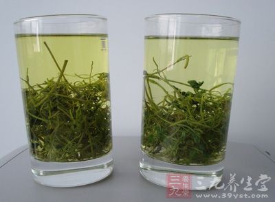 绞股蓝茶的功效（绞股蓝泡水喝的好处）