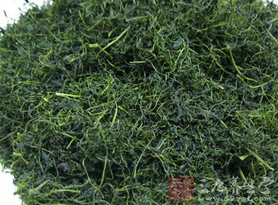 绞股蓝茶的功效 绞股蓝泡水喝的好处