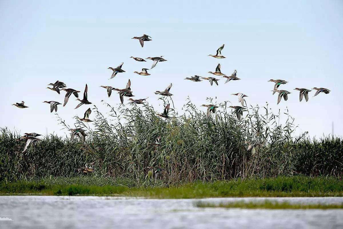 发源于泌阳县境内伏牛山区木达岭的南汝河,古称瀙(qin)水,在千转万回