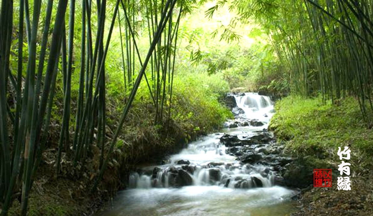 《花开富贵，竹报平安》这出镜最高的春联，你知道是怎么来的吗？