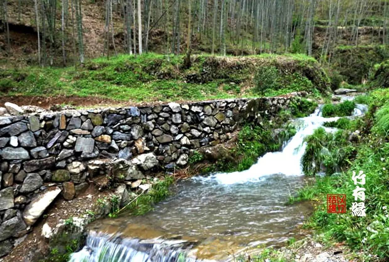 《花开富贵，竹报平安》这出镜最高的春联，你知道是怎么来的吗？