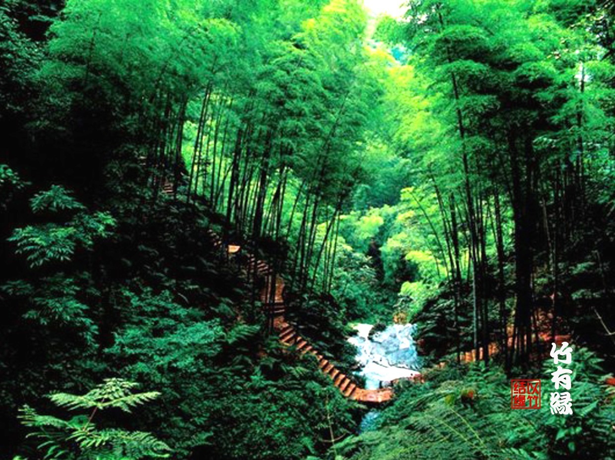 《花开富贵，竹报平安》这出镜最高的春联，你知道是怎么来的吗？