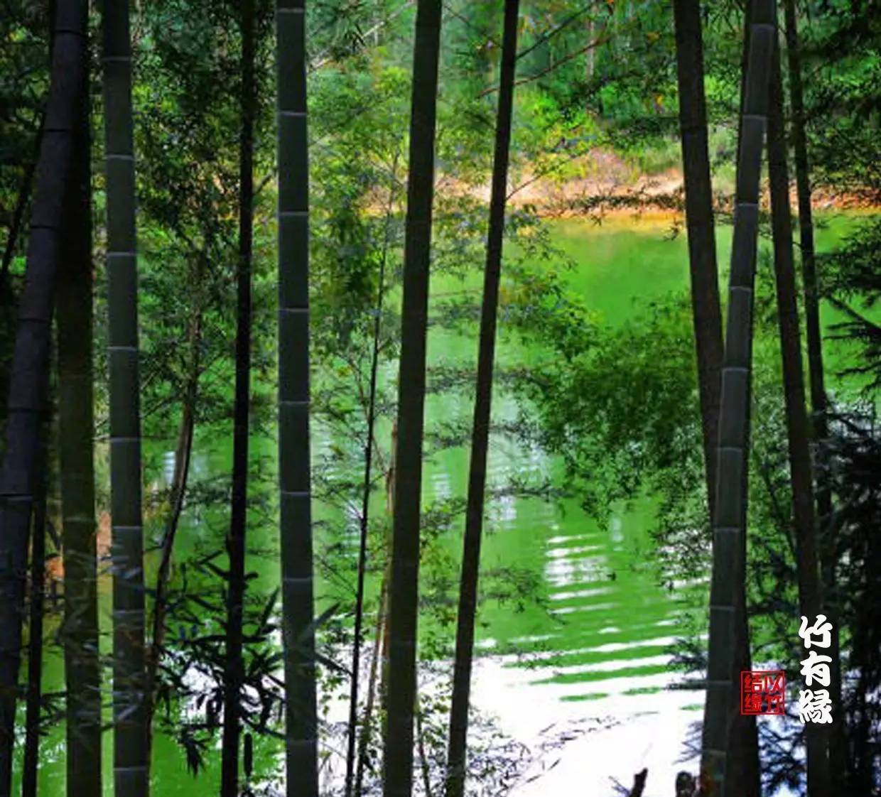 《花开富贵，竹报平安》这出镜最高的春联，你知道是怎么来的吗？