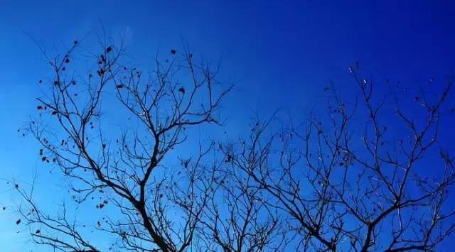 《后汉书》精选30句丨以史为鉴知得失，以人为鉴知进退