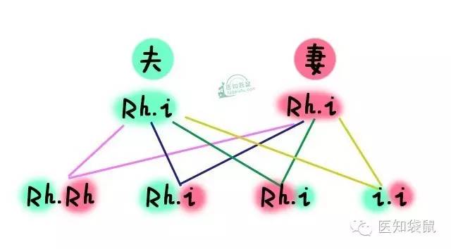 爸妈“血型不合”竟然对宝宝有这么大影响！