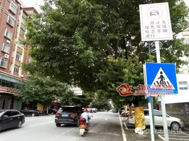 茂名信宜这些区域黄标车已限行！被电子抓拍将这样处罚！