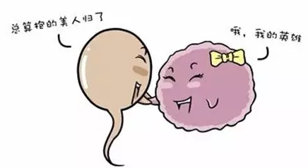 揭秘试管婴儿全过程，你绝对想不到