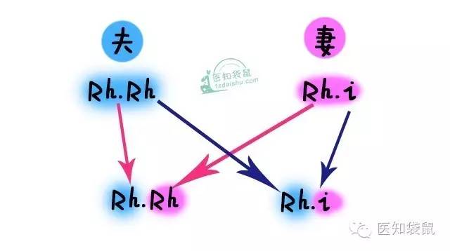 爸妈“血型不合”竟然对宝宝有这么大影响！