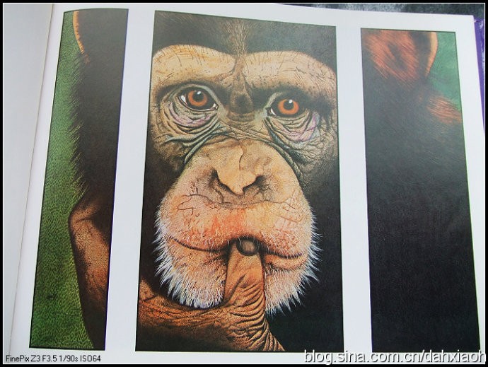 “大猩猩的父亲形象-安东尼布朗绘本
