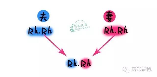 爸妈“血型不合”竟然对宝宝有这么大影响！