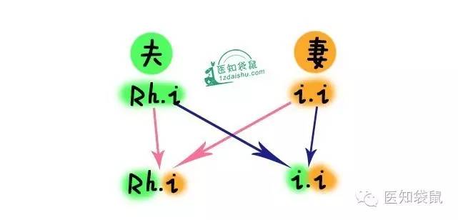 爸妈“血型不合”竟然对宝宝有这么大影响！