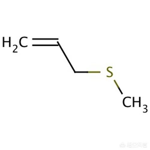 如何摆脱吃大蒜带来的口臭？