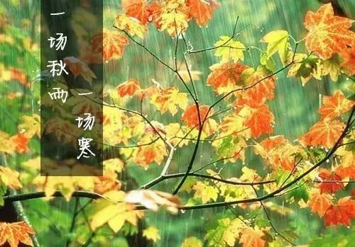 唯美，淋漓在古诗词里的那场秋雨