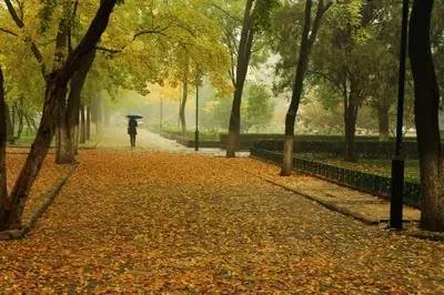 唯美，淋漓在古诗词里的那场秋雨