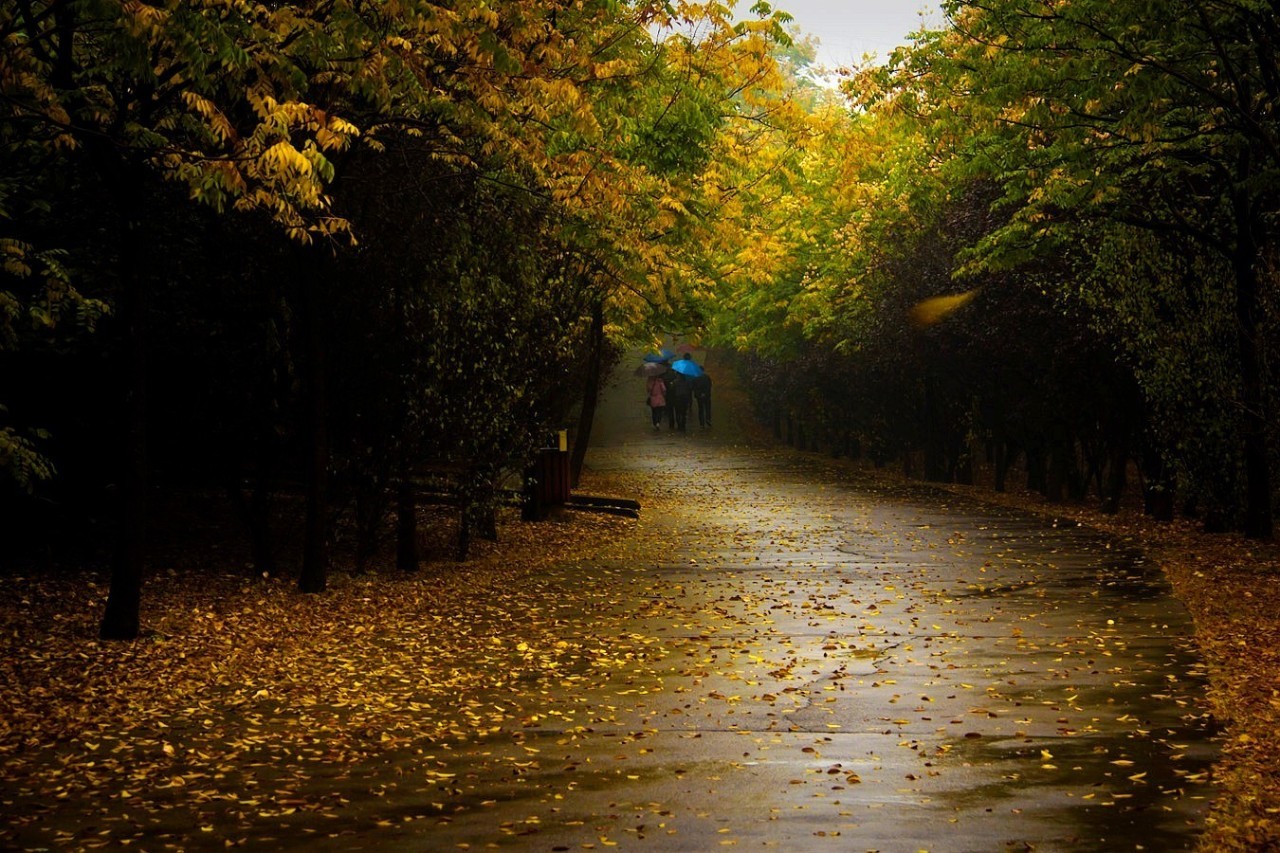 唯美，淋漓在古诗词里的那场秋雨