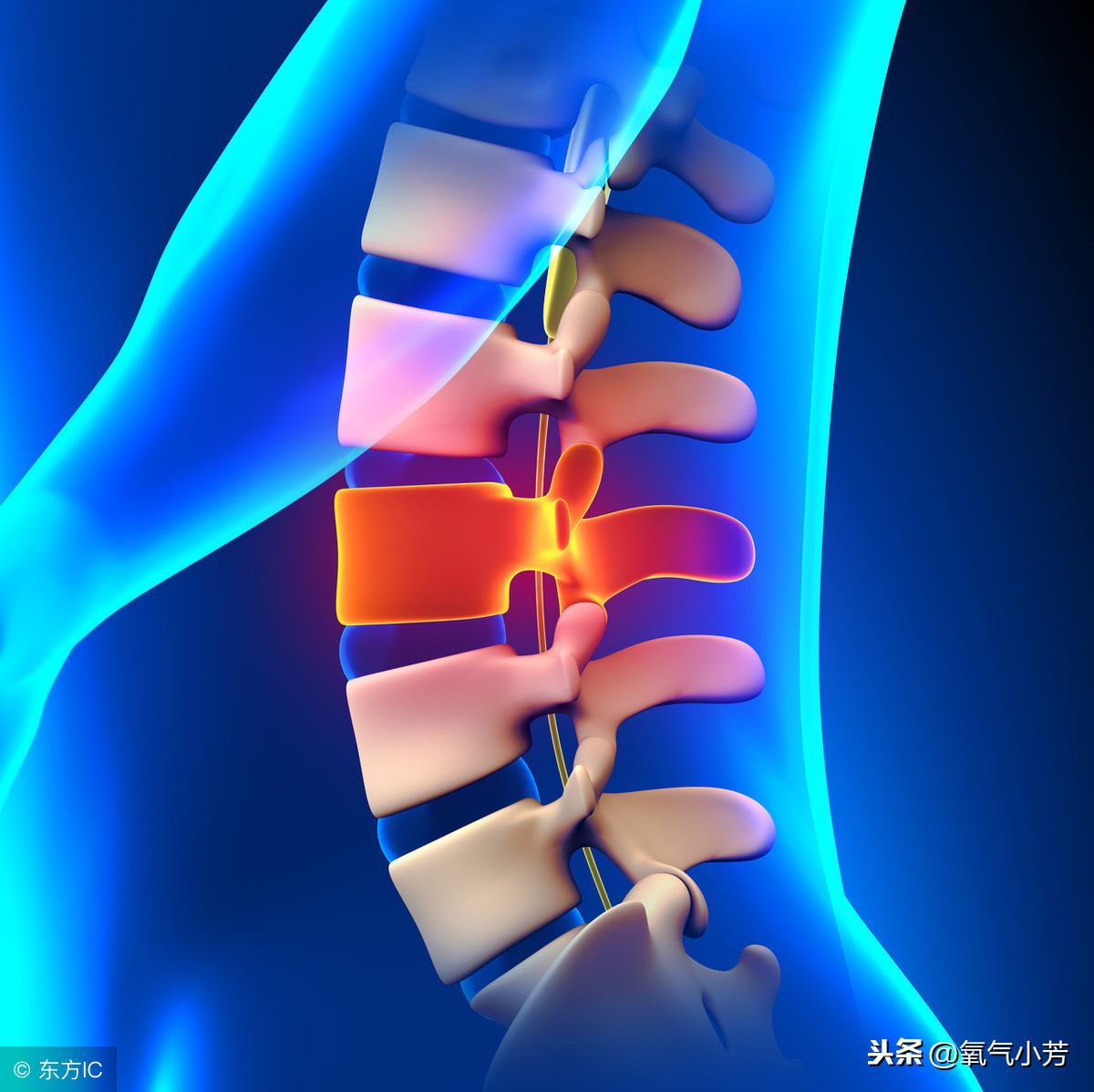 腰突症，不要再花冤枉钱了，你的自愈力与自律程度，才是恢复根本