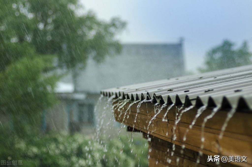 优秀习作---《雨中即景》