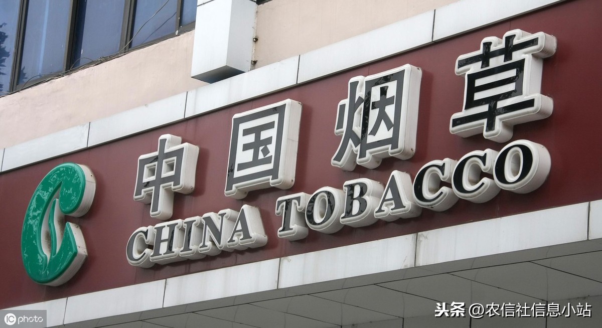 铁饭碗|2019广东省烟草专卖局校园招聘119员工，今日开始报名！