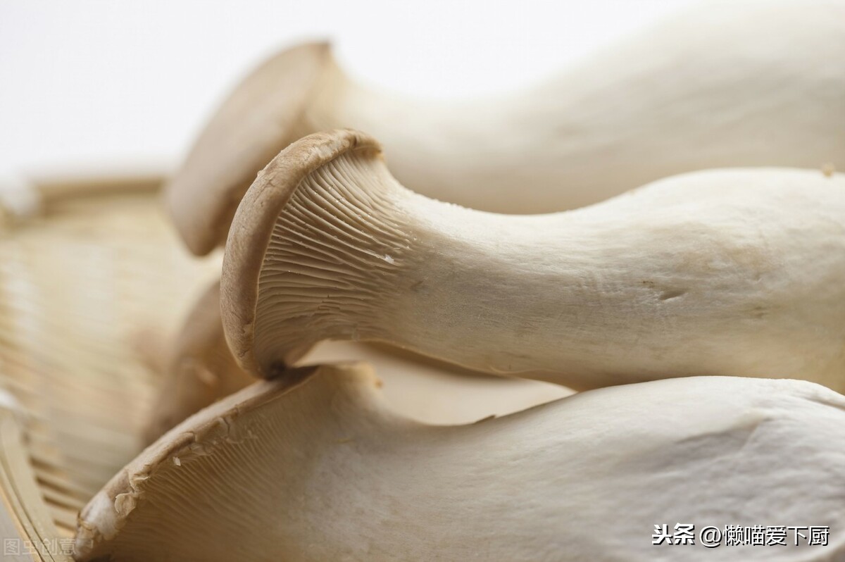 杏鮑菇的產(chǎn)地,杏鮑菇的產(chǎn)地聯(lián)系方式