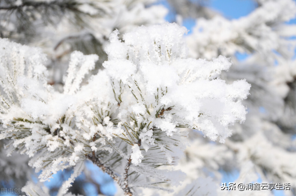 生活有妙招：10种除静电的小窍门，这个冬天不带电