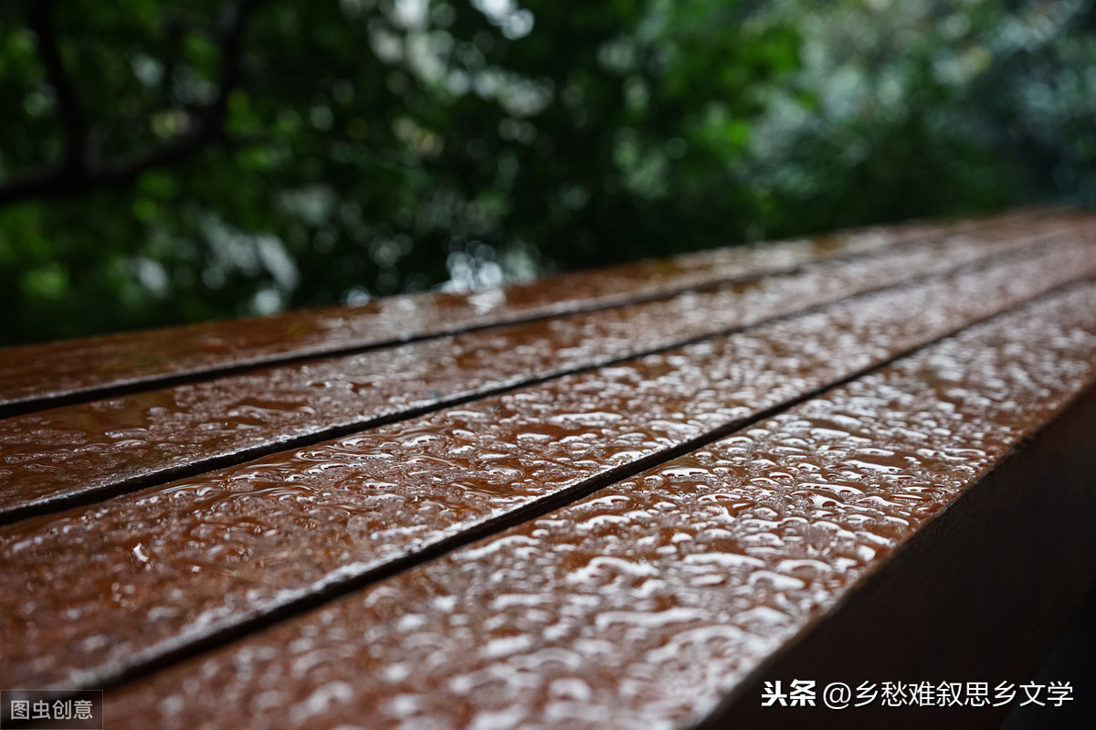 散文：情寄冬雨