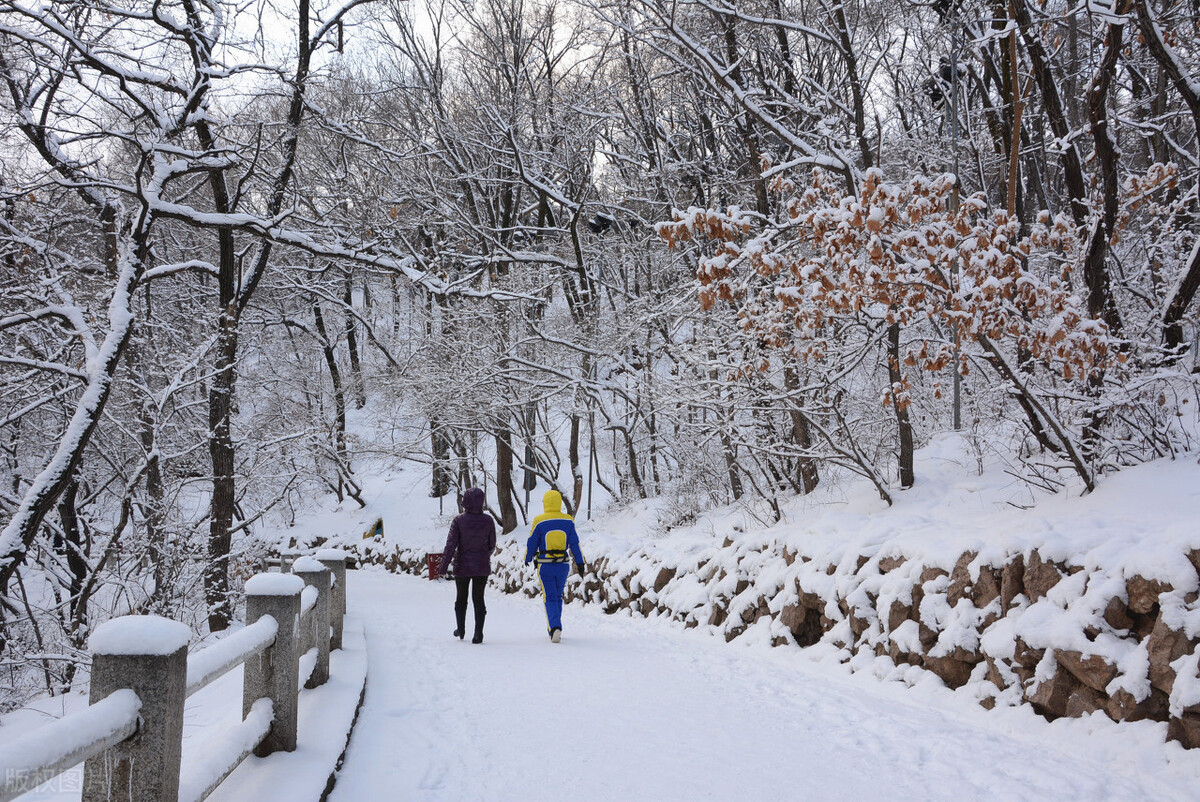 在大雪之中行走