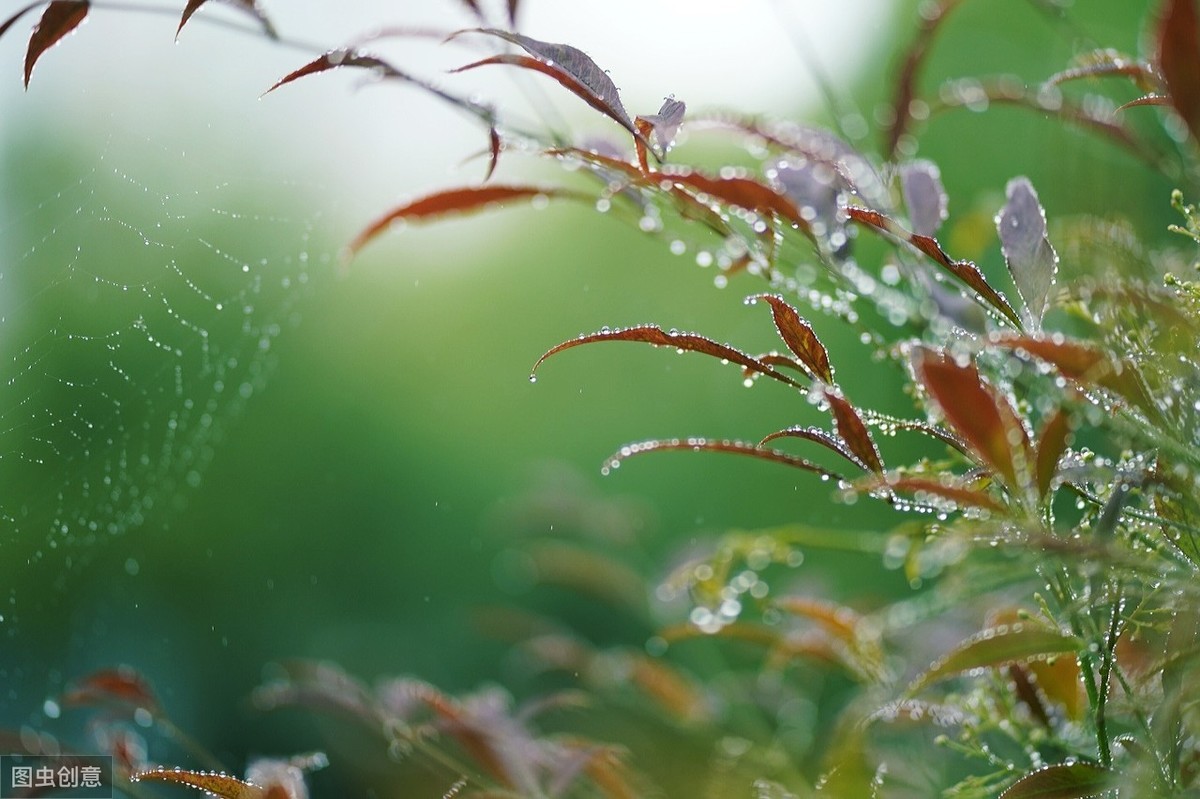 你知道有關雨的詩句詩詞名言有哪些？